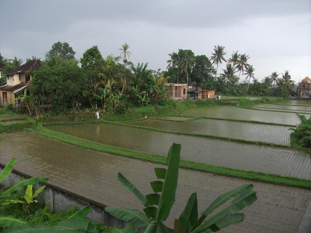Suwar Bungalows Ubud  Exterior photo